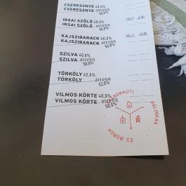 Rock Burger Cirkusz Balatonszemes - Egyéb