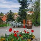 Rókusfalvy Fogadó étterme Etyek - Egyéb