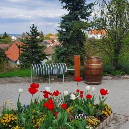 Rókusfalvy Fogadó étterme Etyek - Egyéb