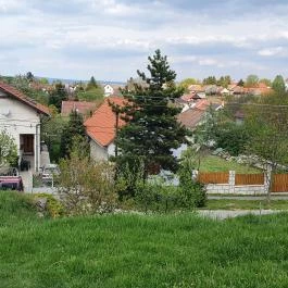 Rókusfalvy Fogadó étterme Etyek - Egyéb