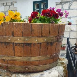 Rókusfalvy Fogadó étterme Etyek - Egyéb