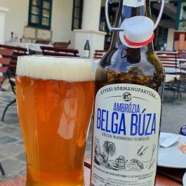 Rókusfalvy Fogadó étterme Etyek - Egyéb