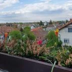 Rókusfalvy Fogadó étterme Etyek - Egyéb