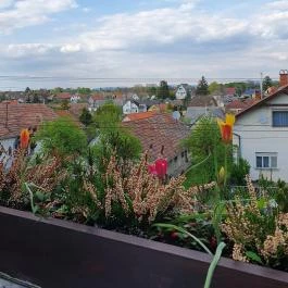 Rókusfalvy Fogadó étterme Etyek - Egyéb