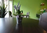 Róna Cukormentes Cukrászda Budapest