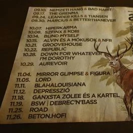 Roncsbár, Debrecen - Egyéb