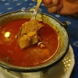 Roosevelt téri Halászcsárda, Szeged - Egyéb