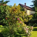 Rotburger Látványsörfőzde, Söröző & Sörkert Pilisvörösvár - Egyéb