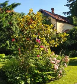 Rotburger Látványsörfőzde, Söröző & Sörkert