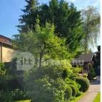 Rotburger Látványsörfőzde, Söröző & Sörkert Pilisvörösvár - Egyéb