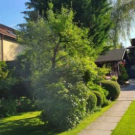 Rotburger Látványsörfőzde, Söröző & Sörkert Pilisvörösvár - Egyéb