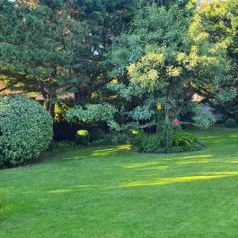 Rotburger Látványsörfőzde, Söröző & Sörkert Pilisvörösvár - Egyéb