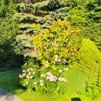 Rotburger Látványsörfőzde, Söröző & Sörkert Pilisvörösvár - Egyéb