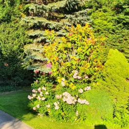 Rotburger Látványsörfőzde, Söröző & Sörkert Pilisvörösvár - Egyéb