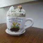 Royal Croissant Pékség Sopron - Belső