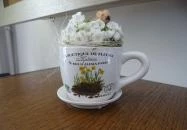 Royal Croissant Pékség Sopron