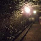 Royal Tokaji Borászati Zrt. Mád - Belső