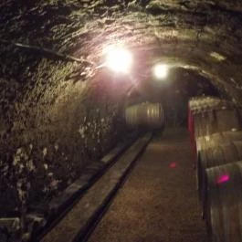 Royal Tokaji Borászati Zrt. Mád - Belső