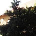 Royal Tokaji Borászati Zrt. Mád - Külső kép