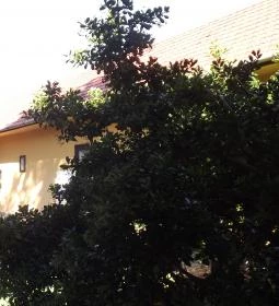 Royal Tokaji Borászati Zrt.