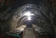 Rózsa Pince Tállya