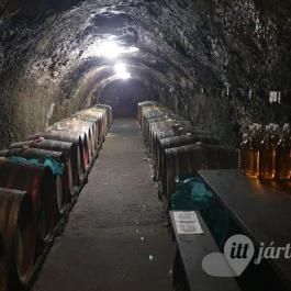 Rózsa Pince Tállya - Egyéb