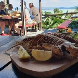 Rózsakő Borpince Étterem Badacsony - Egyéb