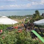 Rózsakő Borpince Étterem Badacsony - Egyéb