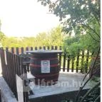 Rózsakő Borpince Étterem Badacsony - Egyéb