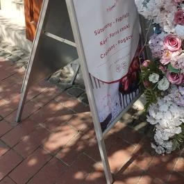 Sakura, Nagymaros - Egyéb