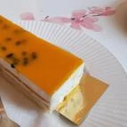 Sakura Nagymaros - Egyéb