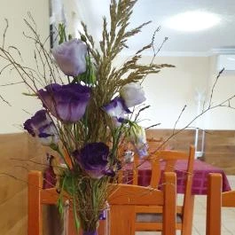 Sarki Csárda, Dunavecse - Egyéb