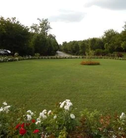 Sarlóspuszta Club Hotel étterme