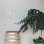 Sauska 48 Villány - Egyéb