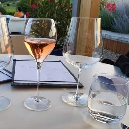 Sauska 48 Villány - Étel/ital