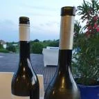 Sauska 48 Villány - Étel/ital