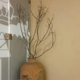 Schieszl Vendéglő és Borház, Budakalász - Egyéb