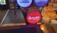 Schmauser Étterem és Pub Sopron - Étel/ital