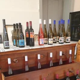 SellyeiBor Nemesgulács - Egyéb