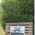 SellyeiBor Nemesgulács - Egyéb