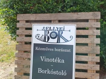 SellyeiBor Nemesgulács