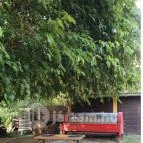 SellyeiBor Nemesgulács - Egyéb