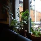 Semmi Extra & Egy Kis Kert Budapest - Egyéb