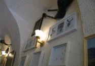 Senator-Ház Étterem és Kávéház Eger