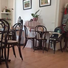 Sigil Galéria & Kávézó, Nagymaros - Egyéb