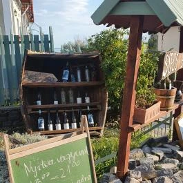 Sipos Borház Badacsonytomaj - Egyéb