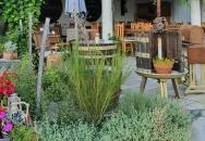 Sipos Borház Badacsonytomaj