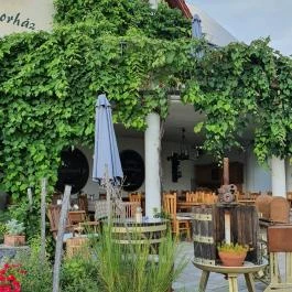 Sipos Borház Badacsonytomaj - Egyéb