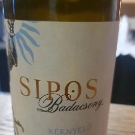 Sipos Borház Badacsonytomaj - Egyéb