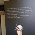 Sissi Fagyizó & Cukrászda - Dózsa György út Gödöllő - Egyéb